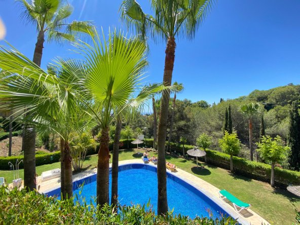 Swimming pool view